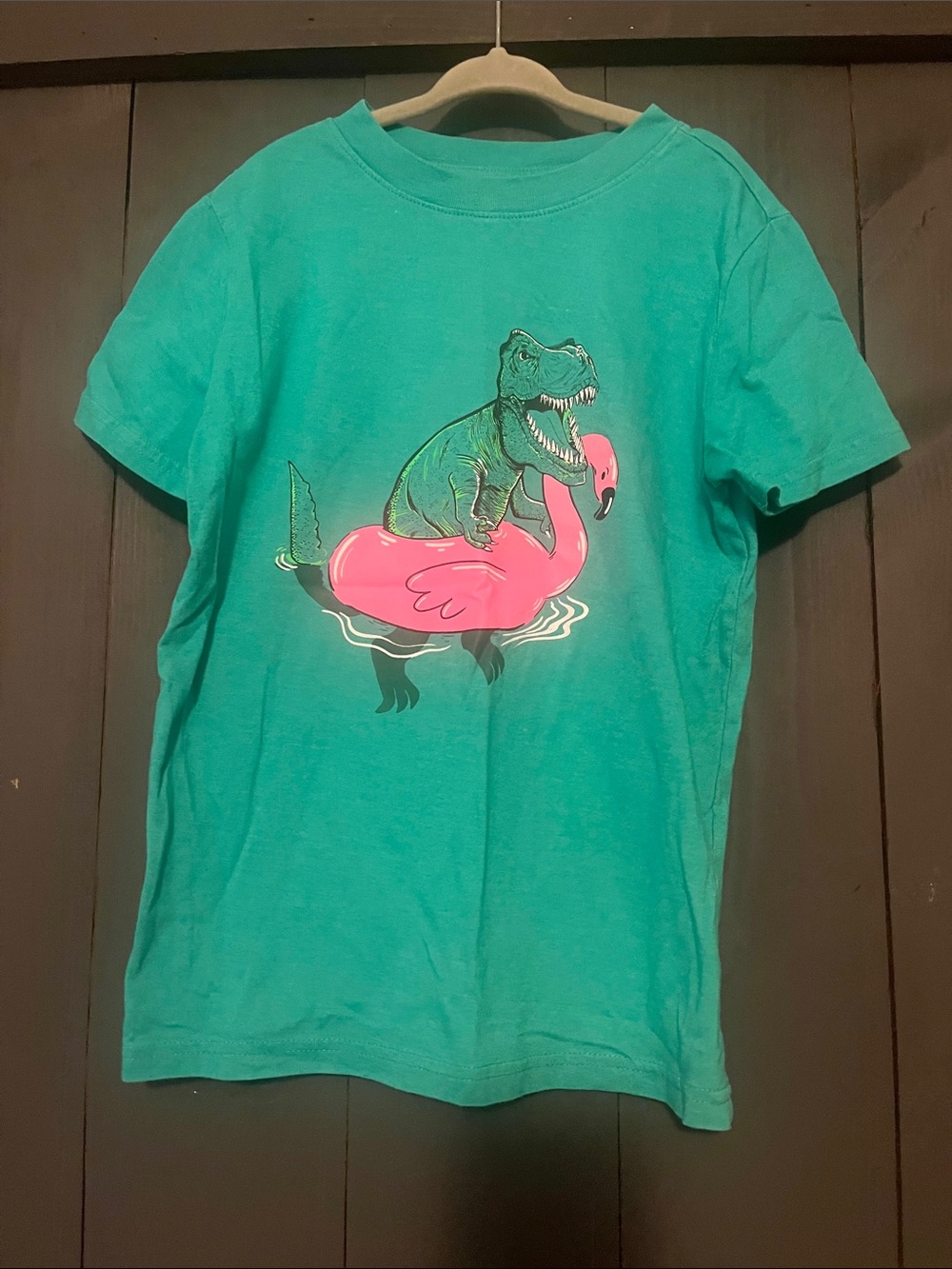 Cat & Jack Teal Tee with Dino on Pink Flamingo Graphic